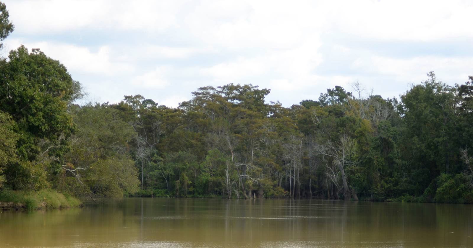 The Neches River lined with cypress and hardwoods near Big Thicket National Preserve in Southeast Texas