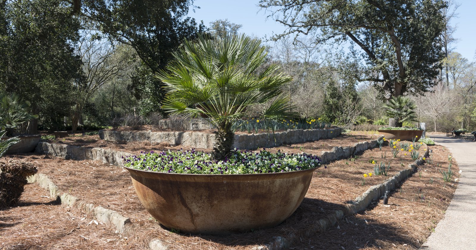 Shangri La Botanical Gardens and Nature Center in Orange, Texas — a 252-acre garden and nature preserve that is free to enter