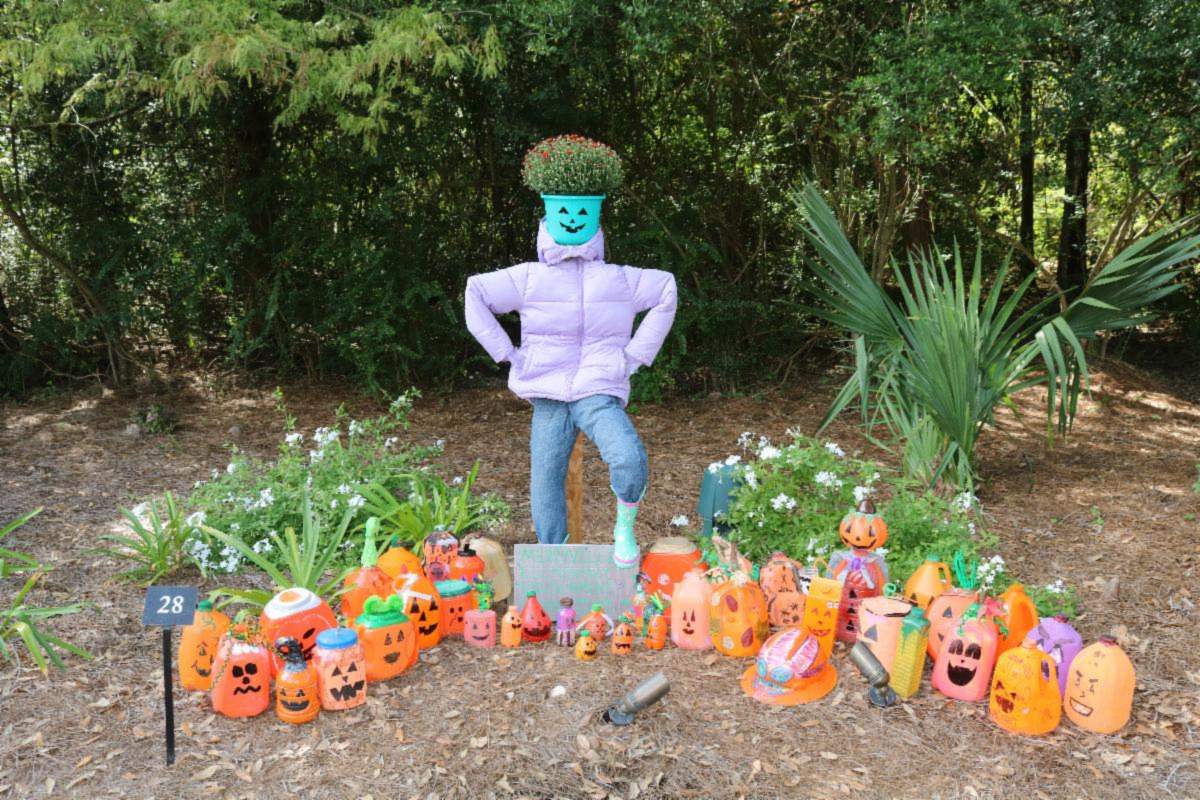 A scarecrow in a lilac puffer jacket and jeans with a flower pot for a head, surrounded by jack-o'-lantern faces painted on plastic jugs, at the Shangri La Scarecrow Festival