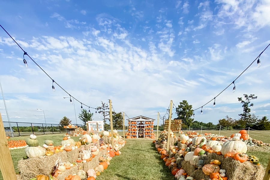 A straw-lined aisle of pumpkins under string lights in the Orangetober Pumpkin Village at Riverside Pavilion