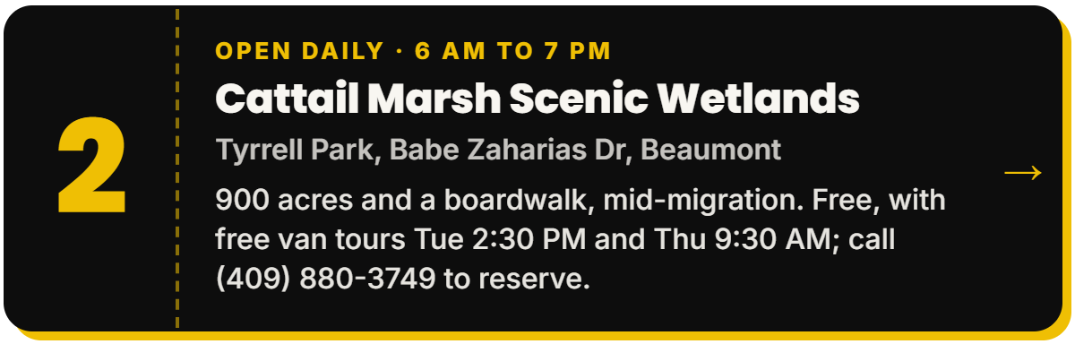 2. Cattail Marsh Scenic Wetlands. Open daily · 6 AM to 7 PM, Tyrrell Park, Babe Zaharias Dr, Beaumont. 900 acres and a boardwalk, mid-migration. Free, with free van tours Tue 2:30 PM and Thu 9:30 AM; call (409) 880-3749 to reserve.