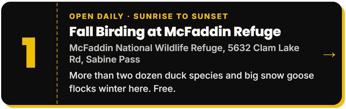 1. Fall Birding at McFaddin Refuge. Open daily · Sunrise to sunset, McFaddin National Wildlife Refuge, 5632 Clam Lake Rd, Sabine Pass. More than two dozen duck species and big snow goose flocks winter here. Free.